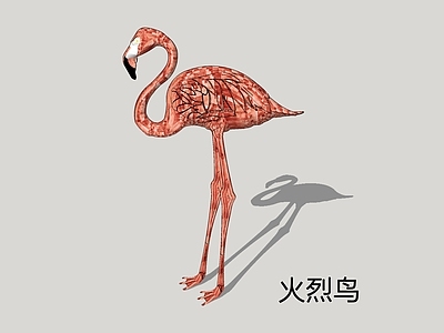 解构主义飞行动物 火烈鸟 鸟