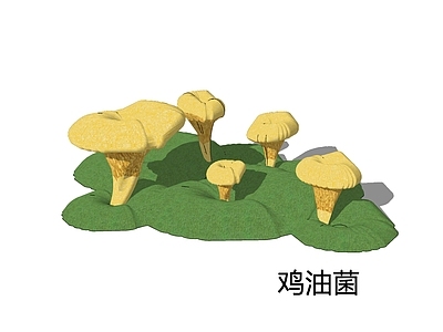 卡通风格草本植物 鸡油菌 杏菌 蛋黄菌 野生菌