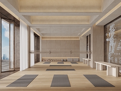 现代瑜伽室 健身房 YOGA 普拉提