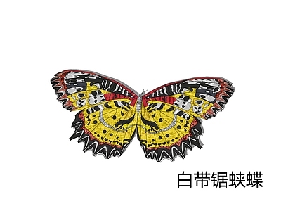 装饰艺术风飞行动物 白带锯蛱蝶 仿白带锯蛱蝶  彩裙锯蛱蝶