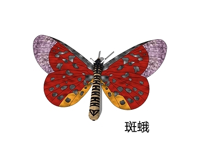 仿生机械风飞行动物 斑蛾 仿红袖灯蛾  红缘灯蛾
