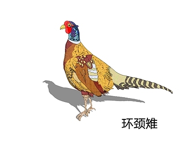 装饰艺术风飞行动物 环颈雉 野鸡 七彩山鸡