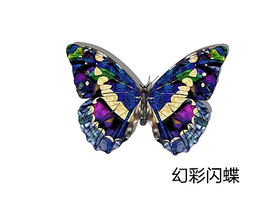 彩绘玻璃风飞行动物 幻彩闪蝶 仿蓝闪蝶  大蓝闪蝶 蝴蝶