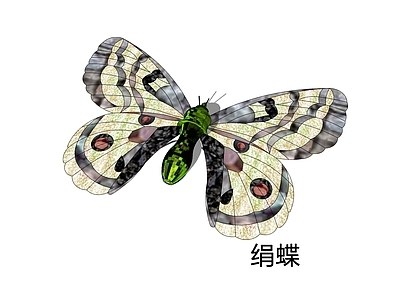 新艺术风格飞行动物 绢蝶 仿君主绢蝶  阿波罗绢 蝴蝶