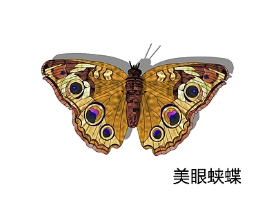 新艺术风格飞行动物 孔雀眼蛱蝶 美眼蛱蝶 蝴蝶