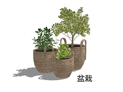 侘寂盆栽 编织篮盆栽 绿植