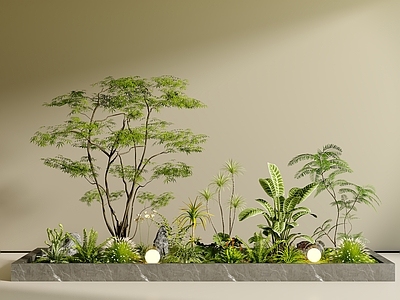 现代简约景观树 室内景观  庭院景观 植物组合 花池 庭院