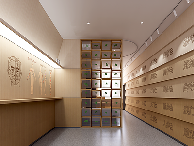 新中式医疗展厅 中医展厅 针灸 按摩