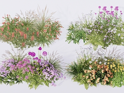 自然主义花境花境 庭院花镜花卉组合 灌木花草植物景观 大花葱蕨类羽毛草 观赏草花丛草丛 植物盆栽盆景
