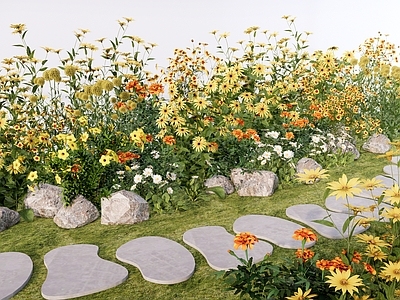 自然主义景观花境 黄色系花境花卉 金鸡菊万寿菊 水仙草本花茎 灌木花草组合景观 庭院花园植物景观