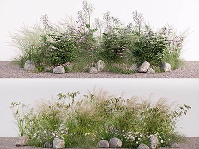 自然野趣风花境 观赏草花境花卉 高秆穗状草 蒲苇银芦芒草 狼尾草羽毛草 庭院花草植物景观
