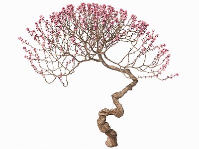 新中式绿植 3D绿植树木