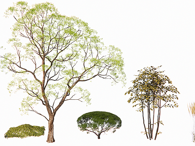 新中式景观植物组合 3D中式绿植树木