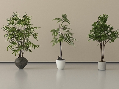 现代简约盆栽 盆栽植物 盆栽盆景