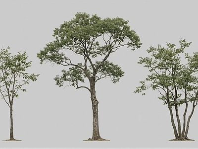 极简2D乔木