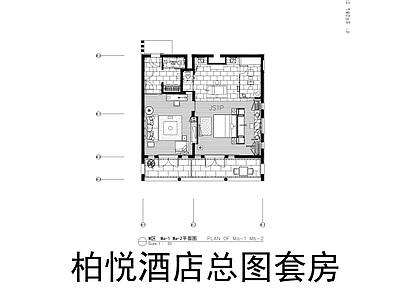 酒店客房 柏悦酒店总图套房