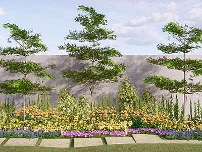 现代简约花境 景观花境植物组团 庭院花园植物组合 公园景观植物群 花卉花镜花坛花草 乔木灌木组合