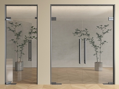 极简门组合 玻璃单开门 玻璃双开门