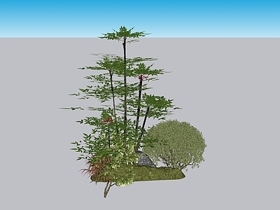 新中式景观植物组合