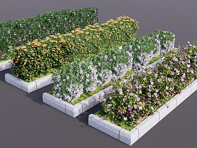 现代花钵花器 景观花箱植物配置 混凝土花箱花卉 绿篱绿化带植物 灌木球灌木花丛 盆栽盆景