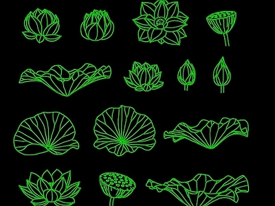 花 荷花图案