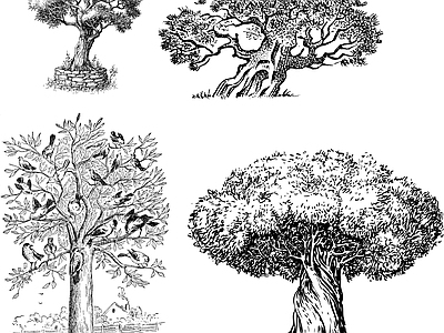 其他图库 线稿 图文 植物 贴图 纹理