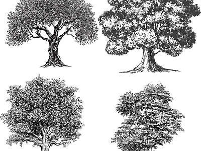 其他图库 线条 花纹 植物 线稿 贴图