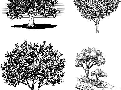 其他图库 线条 花纹 线稿 贴图