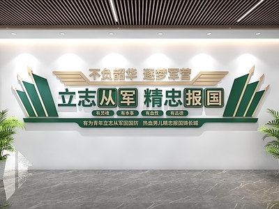 现代简约党政机关 参军文化墙 征兵文化墙