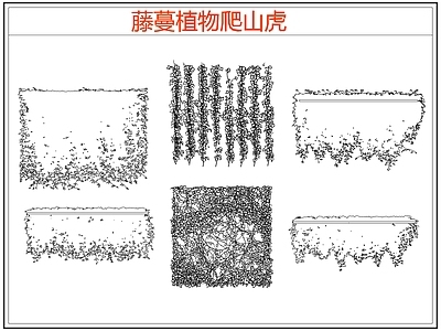 攀援植物 爬墙虎爬山虎藤蔓 藤蔓 爬藤