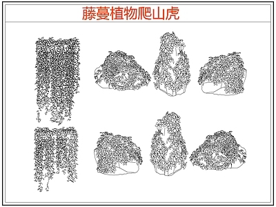 攀援植物 爬墙虎爬山虎藤蔓 藤蔓 爬藤