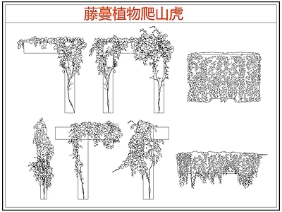 攀援植物 爬墙虎爬山虎藤蔓 藤蔓 爬藤