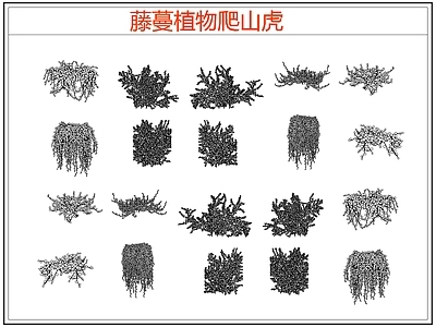 攀援植物 爬墙虎爬山虎藤蔓 藤蔓 爬藤