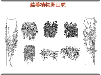 攀援植物 爬墙虎爬山虎藤蔓 藤蔓 爬藤