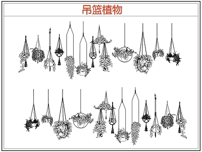 绿植 绿植吊兰吊篮盆栽 吊篮