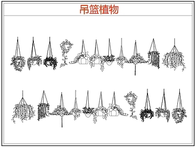 绿植 绿植吊兰吊篮盆栽 吊篮