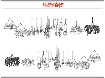 绿植 绿植吊兰吊篮盆栽 吊篮