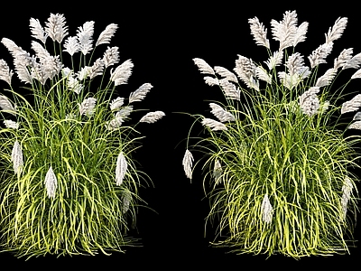 自然野趣景观花草组合