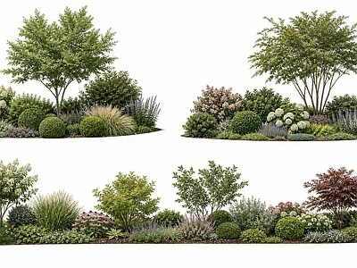 现代主义植物组合 植物组团 2d植物 侘寂简约花境