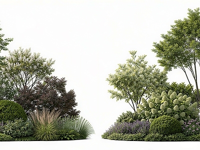 现代主义植物组合 2d植物组团 植物组合 侘寂简约组合