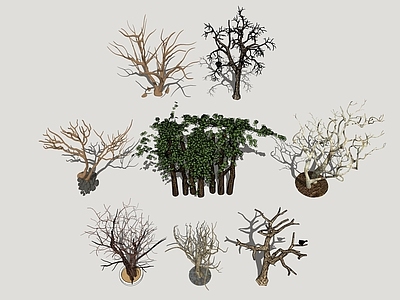 侘寂植物组合 枯树 枯木 禅意景观树 景观树 树灯