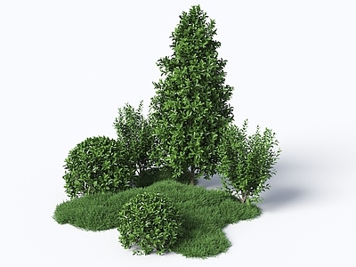 极简主义植物堆 灌木 组团灌木 灌木丛 绿化带植物 球形植被