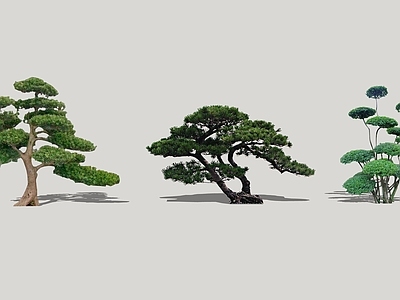 新中式景观乔木