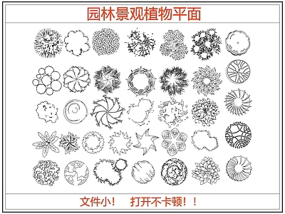 综合植物图库 园林景观植物平面