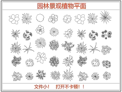 综合植物图库 园林景观植物平面