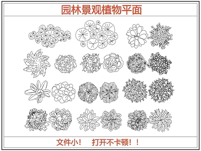 综合植物图库 园林景观植物平面