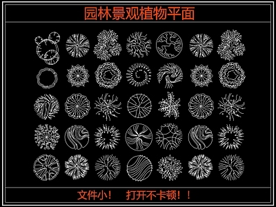 综合植物图库 园林景观植物平面