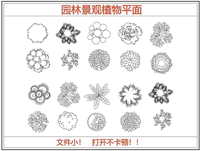 综合植物图库 园林景观植物平面
