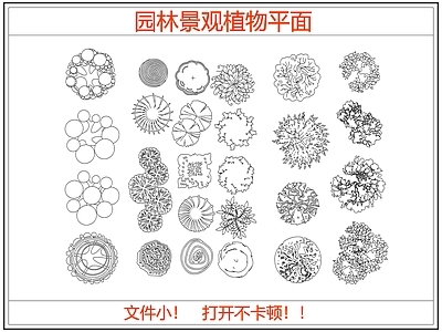 综合植物图库 园林景观植物平面