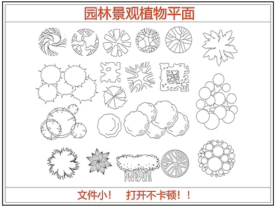 综合植物图库 园林景观植物平面